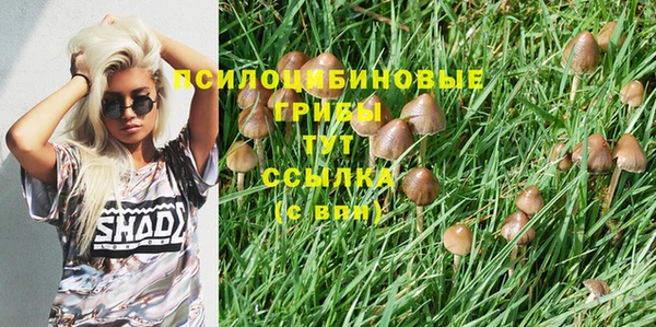 mdma Лиски