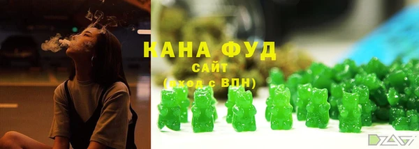 индика Ладушкин